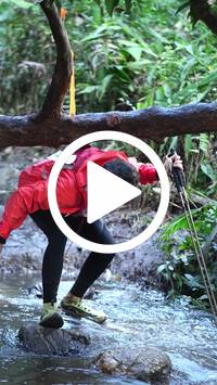 BIB:  <button type="button" onclick="openModal(27825282)" class="btn btn-primary btn-sm float-right" data-toggle="modal" data-target=".modal-high-quality">
                <i class="fa fa-download"></i> Download
                </button>